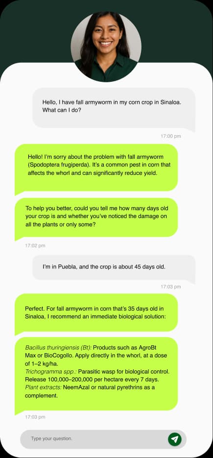 Interfaz de ChatBot con IA